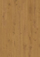 FLR00003941.jpg.jpeg FLR00003941.jpg.jpeg